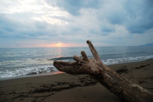 tramonto a marina di grosseto