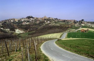 La città del palio degli asini.