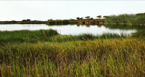 Nuoro - Lo stagno Nuoro - Lo stagno