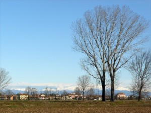 Con il vento di föhn