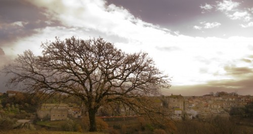 Magliano Romano - Tra natura e storia Magliano Romano - Tra natura e storia