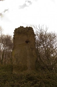 I pochi resti di uno dei tanti castelli