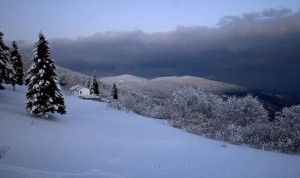 La LIGURIA è anche questo!