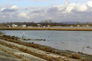 Dove svernano le papere