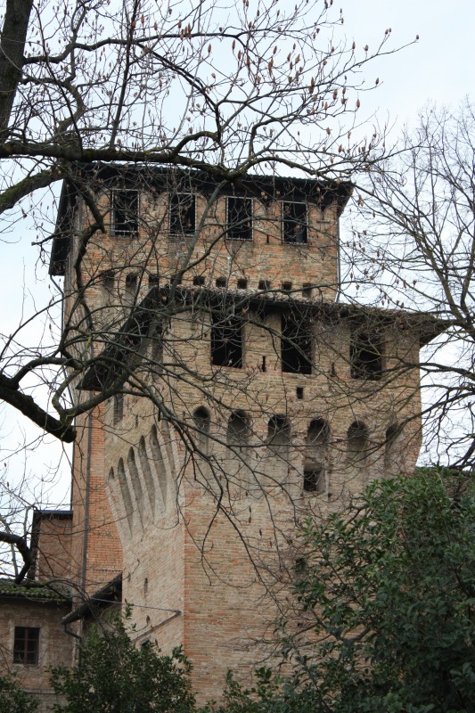 ''Dove ti nascondi… Meno male che in inverno cadono le foglie…'' - Montecchio Emilia