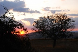 Tramonto da “Villa Pastorelli”