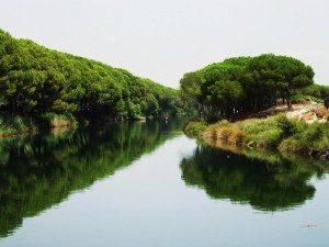 riflessi sul fiume , spiaggia di Cala Cartoe e foce del Cedrino