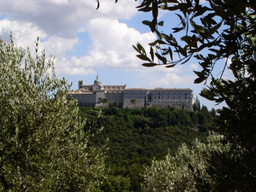 Cassino - Spiritualità tra gli ulivi. Cassino - Spiritualità tra gli ulivi.