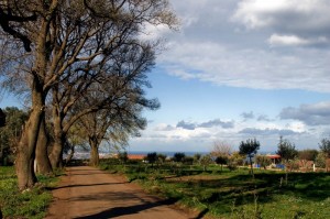 Nei campi di Campo calabro