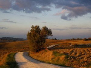 Strade di Campagna