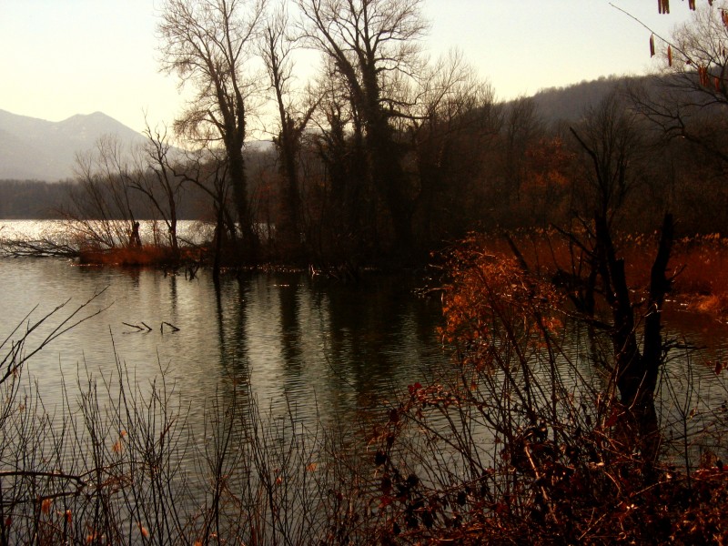 ''LUCI E SCORITA’'' - Avigliana