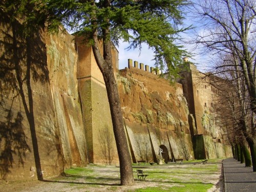 Orvieto - Le mura e il loro amico verde