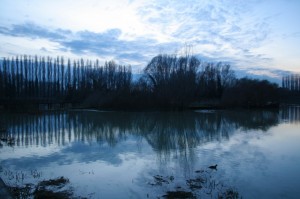 La natura non fa nulla di inutile.