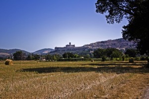 Assisi