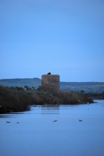 Cabras - Torre di difesa nello stagno...