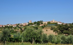 Avigliano Umbro - TR (Panorama)