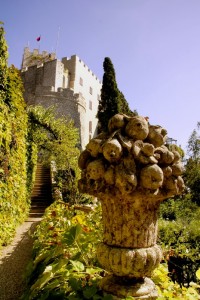 IL castello di Duino dal giardino