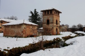 i resti del castello di Levaldigi