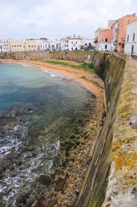 colori d’inverno…