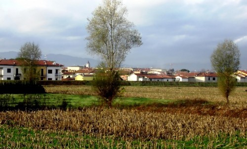 Agliana - Tre alberi Agliana - Tre alberi