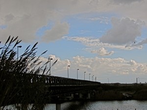 Ponte militare