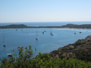 sardegna capo coda cavallo