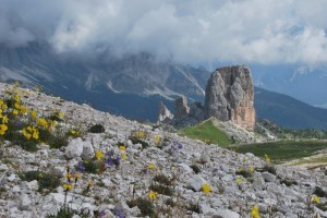 Rocce e fiori