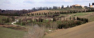 paesaggio toscano n3