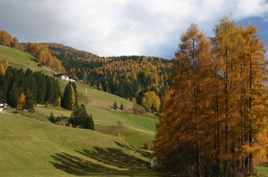 Caldi colori autunnali in Val di Sesto