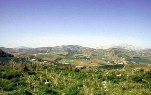 Da Segesta le dolci colline di Sicilia