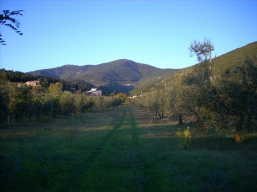 Sesto Fiorentino - Convergenze a Valiversi Sesto Fiorentino - Convergenze a Valiversi