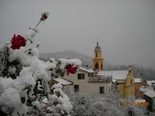 Deiva Marina - MEZZEMA E LA ROSA GELATA