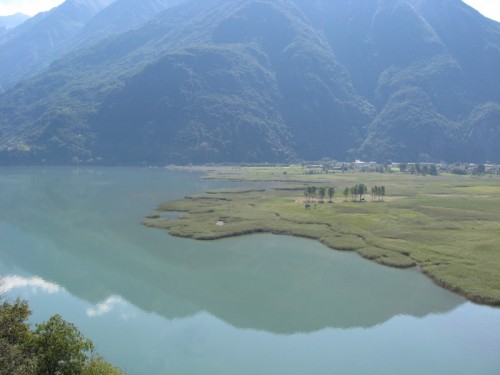 Verceia - Quindici alberi...nell'oasi Verceia - Quindici alberi...nell'oasi