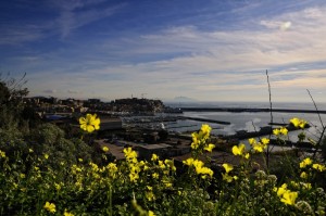 Una sbirciatina verso il porto