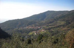 MEZZEMA TRA GLI ULIVI