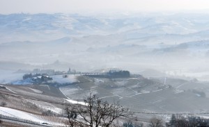 le vigne innevate