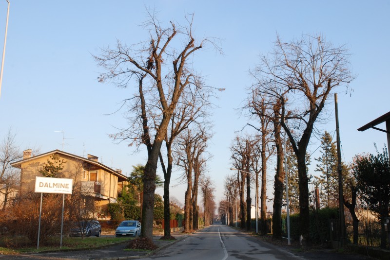 ''La prima di Dalmine'' - Dalmine