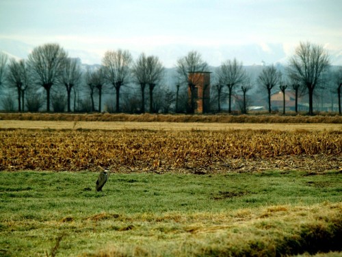 San Benigno Canavese - Il solitario