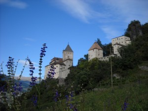 CASTEL FORTE CON SPIGHE BLU