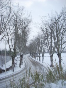 strada innevata