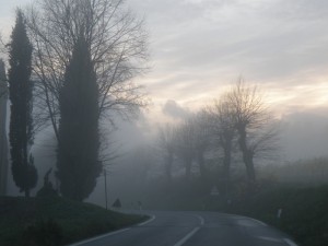 giornata di nebbia