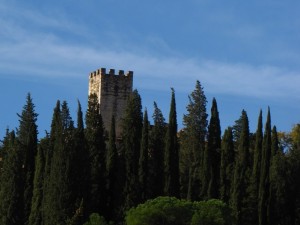 Dietro i cipressi la torre del castello di Montauto