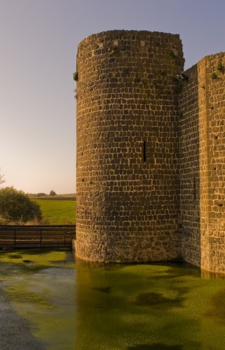 Canino - Torre sul fossato