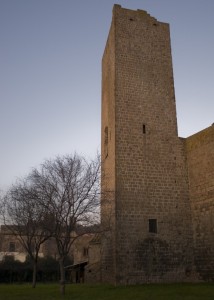 Torre viterbese