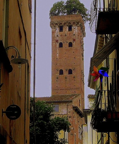 Lucca - La girandola e la Torre Guinigi