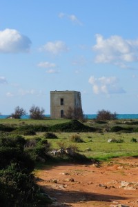 Contrasti cromatici naturali a Torre Inserraglio