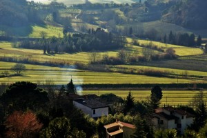 vista sulle colline