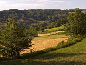 Tranquillità a Saliceto