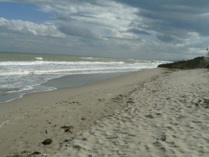 La spiaggia di Metaponto