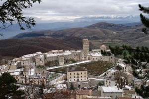 Visto tra gli alberi